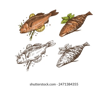 Hand-drawn colored and monochrome vector sketch of barbecue fish. Doodle vintage illustration. Decorations for the menu of cafes and labels. Engraved image.