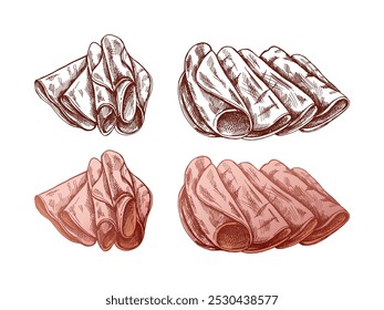 Hand-drawn colored and monochrome vector sketch of  pork meat, ham slice, prosciutto vintage sketch. Butcher shop. 