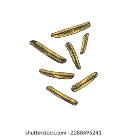 Hand-drawn colored sketch of  french fries  isolated on white background. Fast food illustration. Vintage drawing. Great for menu, poster or restaurant background.