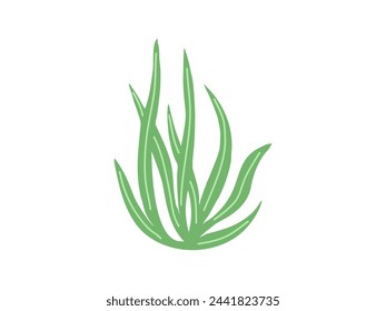 Hand-drawn colored underwater sea weed, laminaria spirulina seaweed icon in flat style. Water element. Ocean vector illustration. Sea collection.