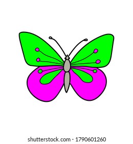 Hand-drawn colored vector illustration of one butterfly is flying on a white background