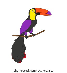 A Hand-drawn colored vector illustration of one toucan bird is sitting on a branch on a white background