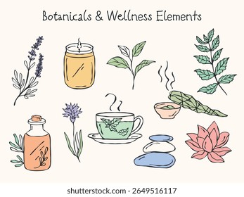 Conjunto vetorial colorido desenhado à mão de elementos botânicos e de bem-estar em tons pastel macio. Inclui ramo de lavanda, folhas sábias, flor de lótus, xícara de chá, óleos essenciais e pedras de massagem