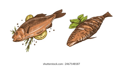 Hand-drawn colored vector sketch of barbecue fish. Doodle vintage illustration. Decorations for the menu of cafes and labels. Engraved image.