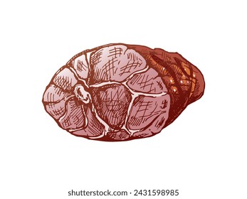 Dibujado a mano de color vector boceto de jamón en rodajas. Boceto vintage de jamón italiano. Carnicería. Ideal para etiqueta, menú de restaurante. Imagen grabada.