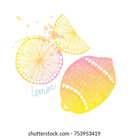 Hand-drawn composition with lemon and lemon slices