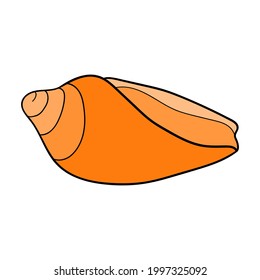 Hand-drawn cone shell of engraved line. Design element for invitations, greeting cards, posters, banners, flyers and more.  Vector colorful illustration isolated on white background.