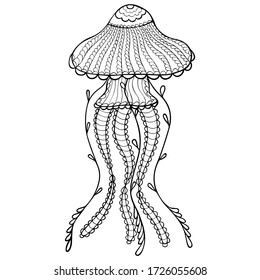 Hand-drawn contour jellyfish in zentangle style. Patterned black and white multicellular marine animal such as cnidaria for coloring page and tattoo. Vector.