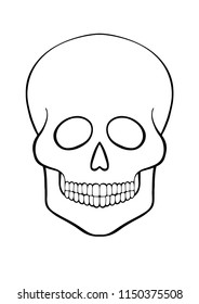 hand-drawn contour skull