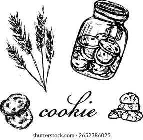 Ilustrações de biscoito desenhado à mão e de trigo em preto e branco  