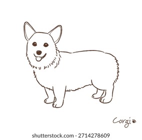 Hand-drawn Corgi line drawing_vector illustration