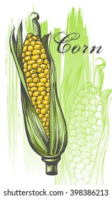 Hand-drawn corn. Vector illustration.