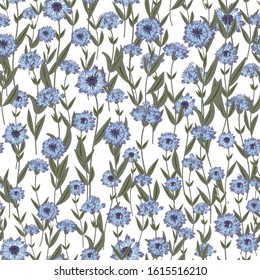 hand-drawn cornflowers seamless pattern. Flower meadow. Vector stock illustration on a white isolated background. Blue cornflowers for printing on fabric