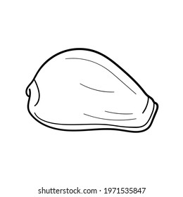 Hand-drawn cowry shell of engraved line. Design element for invitations, greeting cards, posters, banners, flyers and more. Vector illustration isolated on white background.
