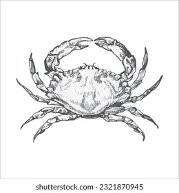 Handdrawn crab illustration, crab drawing, artwork, sushi, fish, design, sea animal