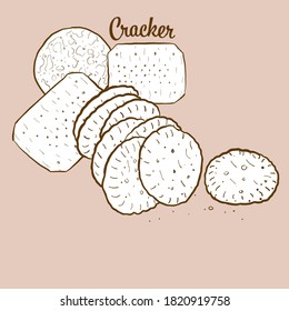 Hand-drawn Cracker bread illustration. Crispy bread, usually known in International. Vector drawing series.