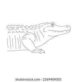 Hand-drawn Crocodile. Vector editable stroke.