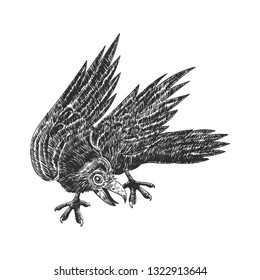 Handdrawn Crow isolated on white.  Vector illustration.
