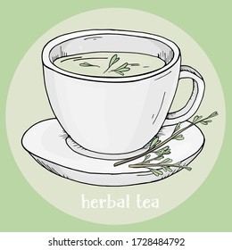Taza de té medicinal a mano. Ilustración vectorial colorida sobre un fondo verde.