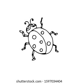 Hand-drawn Cute Cartoon Ladybug. Ladybug Drawn Black Outline Thin Line on White Background. Vector Stock Illustration - Vector Graphic.