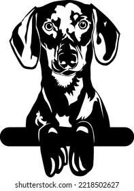 Hand-drawn cute dog portrait illustration