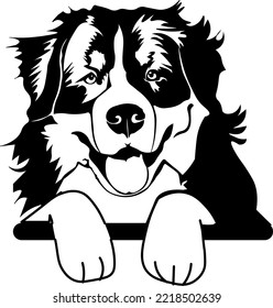 Hand-drawn cute dog portrait illustration