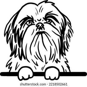 Hand-drawn cute dog portrait illustration