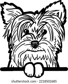 Hand-drawn cute dog portrait illustration