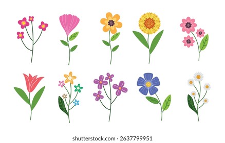 Hand-Drawn Cute Wildflower Set vector illustration