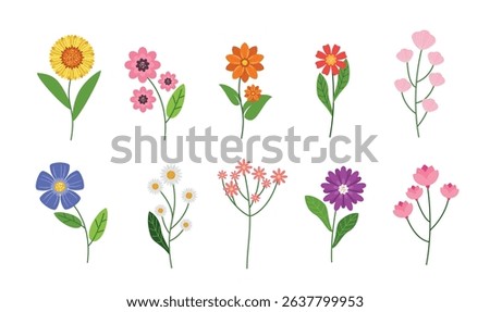 Hand-Drawn Cute Wildflower Set vector illustration