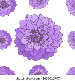 Los dahlias dibujados a mano son un patrón sin fisuras. Elementos florales aislados. Flores vectoriales sobre fondo blanco.
