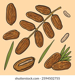 Hand-Drawn Date fruit with Seed and Leaf Details