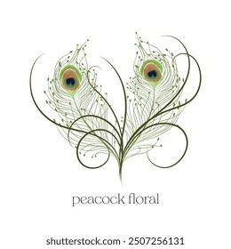 Hand-drawn decorative art, Illustration of peacock feather art, Vector drawing of peacock floral