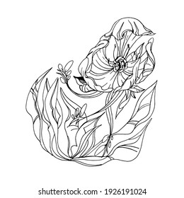 Hand-drawn decorative flower. Image for various designs, tattoos, textiles. Abstract botany.