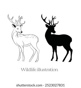 Hand-drawn deer illustration, An illustration of a herbivore animal, A line art and silhouette of animal