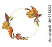 Hand-drawn detailed maple leaf sketch illustration in vintage botanical style, isolated on white background, perfect for autumn designs, seasonal decor, nature prints, tattoos, or eco branding
