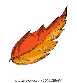 Hand-drawn detailed maple leaf sketch illustration in vintage botanical style, isolated on white background, perfect for autumn designs, seasonal decor, nature prints, tattoos, or eco branding
