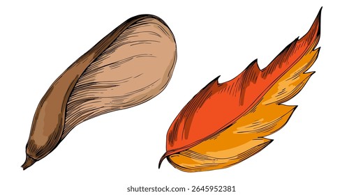 Desenhado à mão detalhado esboço de folha de bordo ilustração em estilo botânico vintage, isolado no fundo branco, perfeito para projetos de outono, decoração sazonal, impressões da natureza, tatuagens, ou marca ecológica