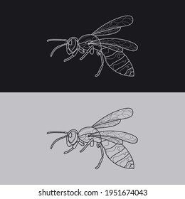Hand-drawn detailed realistic wasp. Vector illustration for graphic design, logo and presentations. Line art with inverted colours: light and dark gray