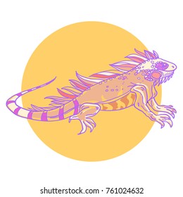 Hand-drawn detailed vector  illustration of a desert animal- iguana on a circle block color background.