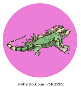 Hand-drawn detailed vector  illustration of a desert animal- iguana on a circle block color background.