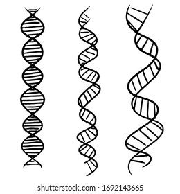 Hand-drawn DNA strand vector illustration