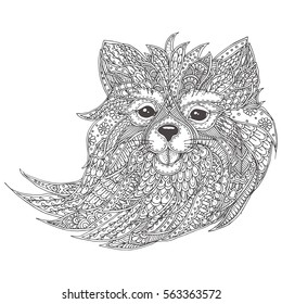  Hand-drawn dog with ethnic floral pattern. Coloring page - zendala, design for  coloring and meditation for adults, vector illustration, isolated on a white background. Zen doodles