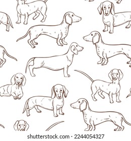 Hand-drawn dogs.  Dachshund. Vector  seamless pattern.