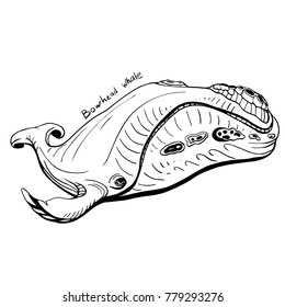 Hand-Drawn Doodle of bow head whale. Vector Illustration - stock vector.