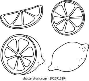 Hand-drawn doodle cartoon style vector illustration. Collection set of lemon lime orange citrus fruits For menu, farmers market design, cocktail making process illustration, cookbook decoration etc