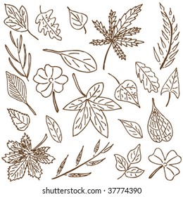 Hand-drawn doodle collection of leaves and plants.