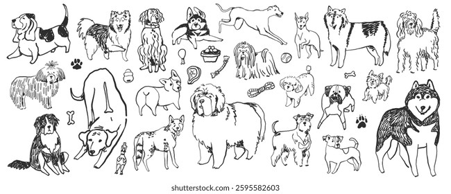 Hand-drawn doodle dog breeds set, whimsical ink sketched illustrations 