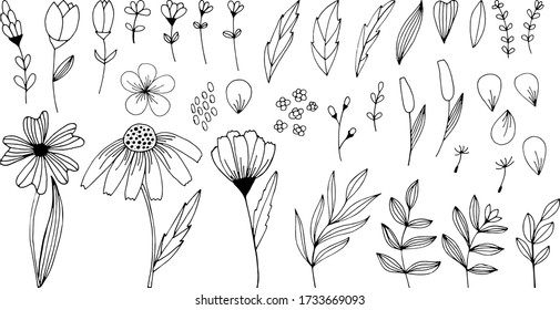 Handdrawn doodle flowers and leaves vector set. Spring summer print for fabric and paper. Stem petals branches herb in sketchy style.
