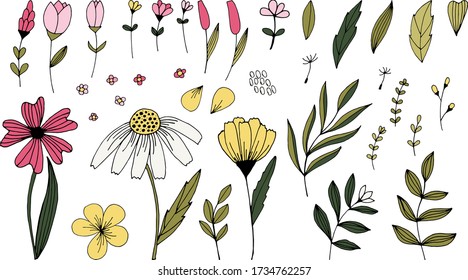 Flores de doodle dibujadas a mano y conjunto vectorial de hojas. Impresión veraniega primavera para tela y papel. Los pétalos de estiércol ramifican hierbas en un estilo esquemático.
